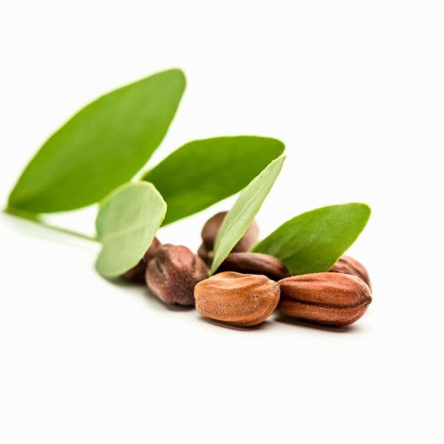 Image of jojoba oil